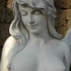 Venere conciliatrice
