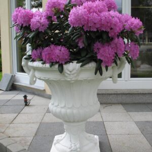 Vaso Felce (Grande)