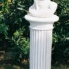 Busto David