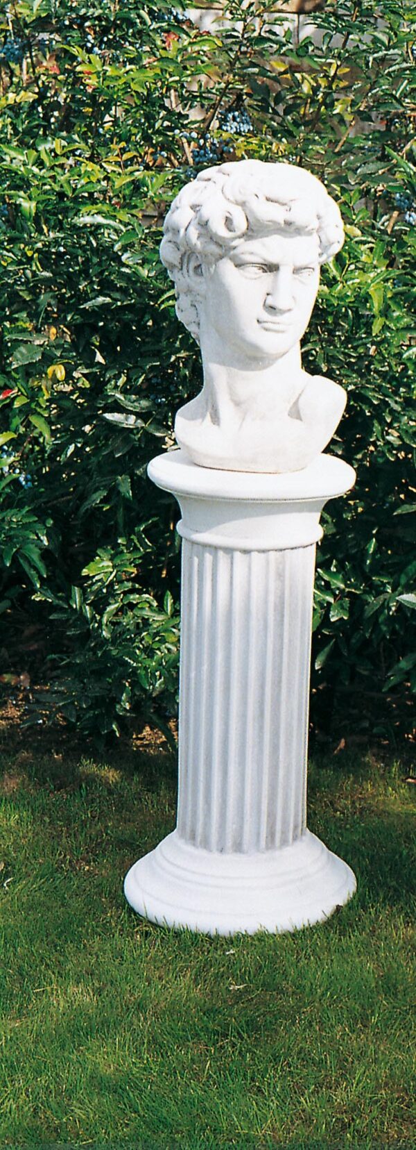 Busto David
